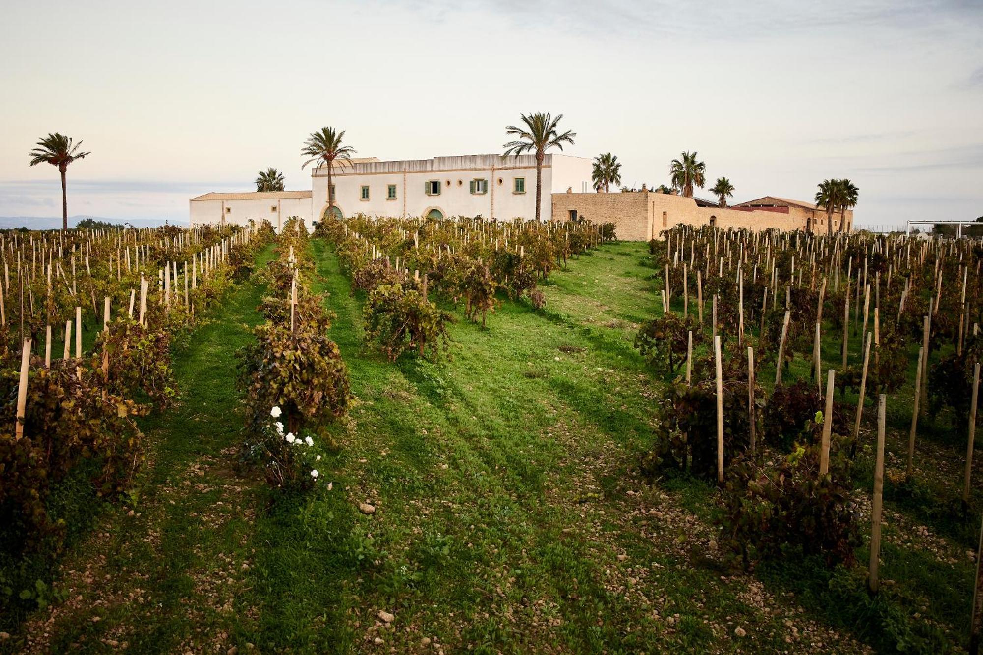 Agriturismo Baglio Donnafranca Wine Resort Marsala Luaran gambar