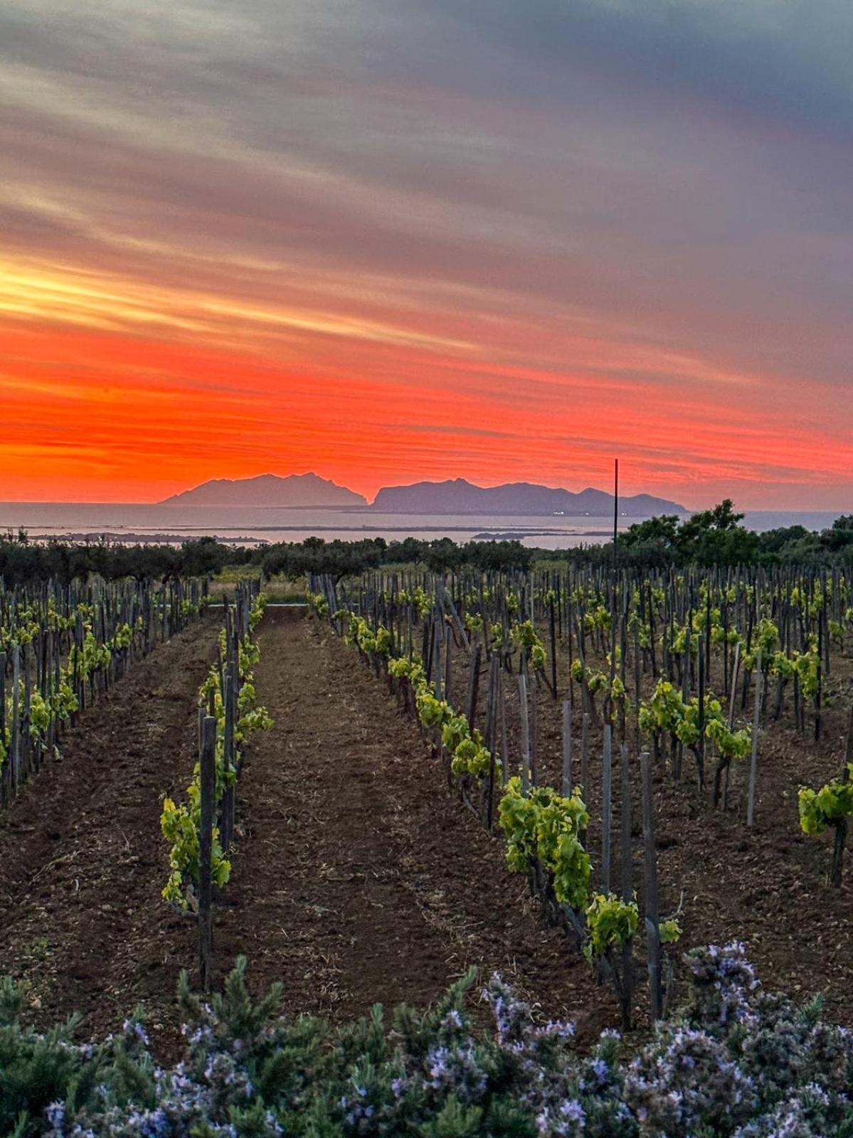 Agriturismo Baglio Donnafranca Wine Resort Marsala Luaran gambar