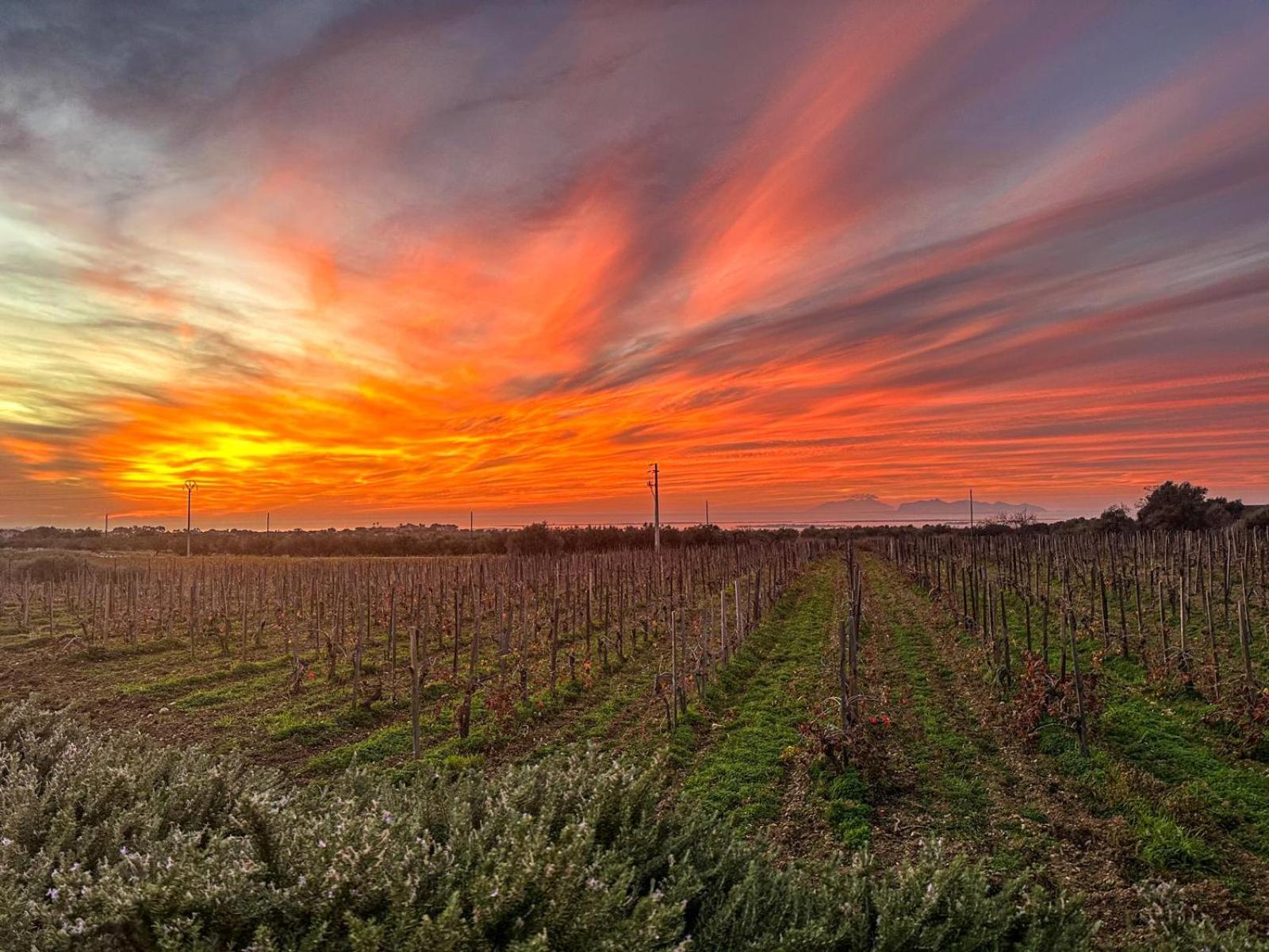 Agriturismo Baglio Donnafranca Wine Resort Marsala Luaran gambar