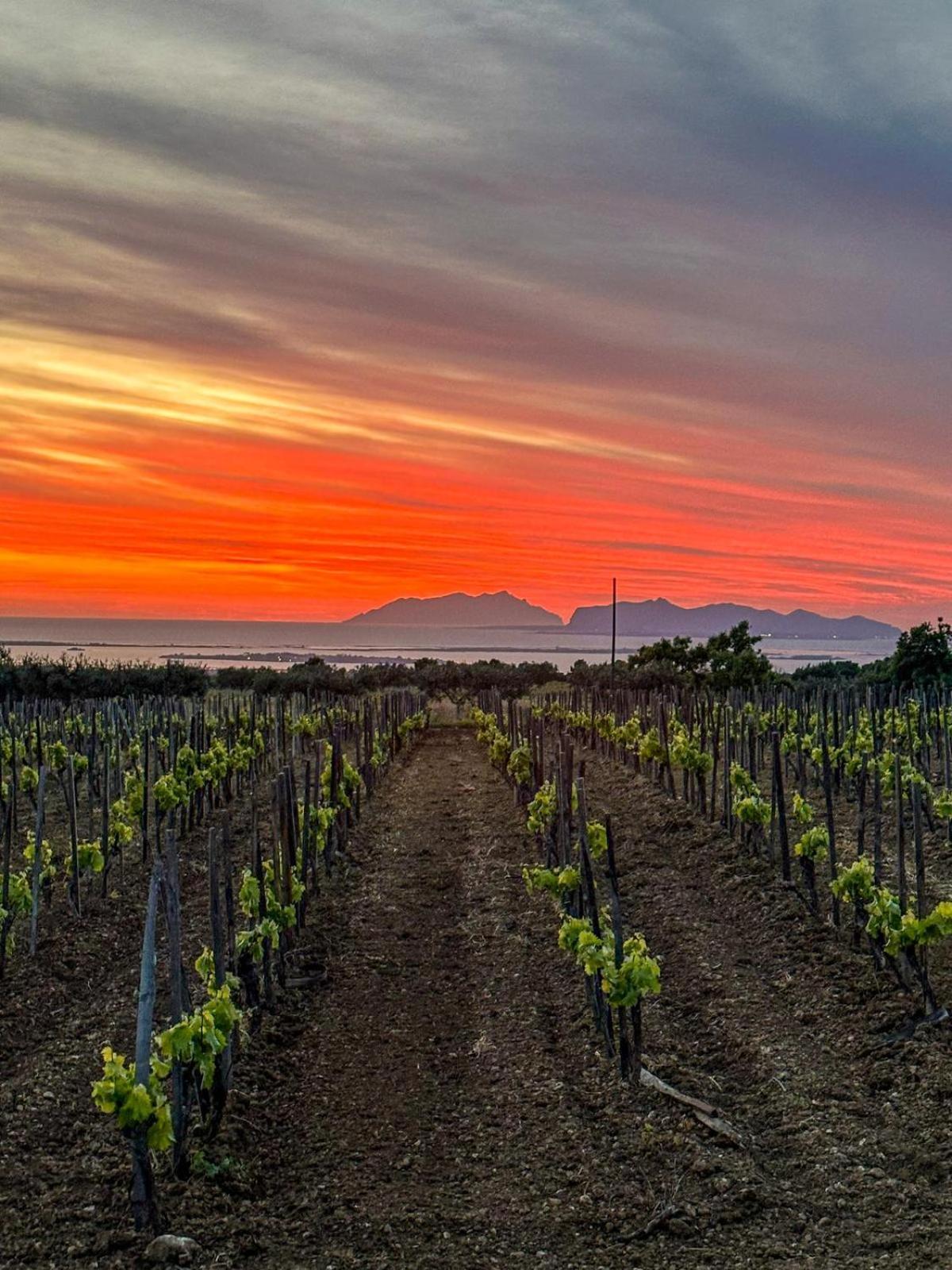 Agriturismo Baglio Donnafranca Wine Resort Marsala Luaran gambar